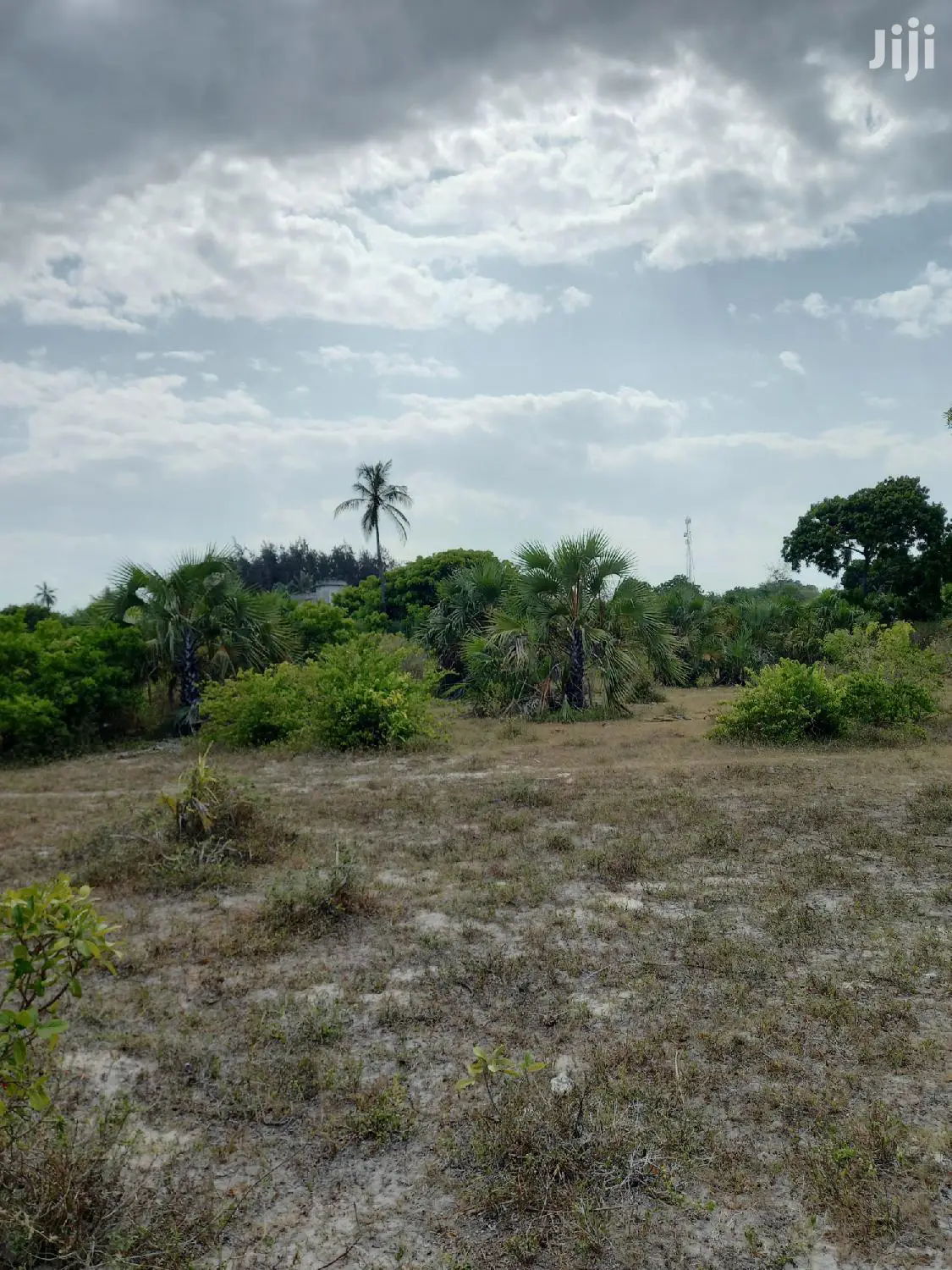 Beachfront 10-Acre Land: Kikambala for Sale in Mtwapa