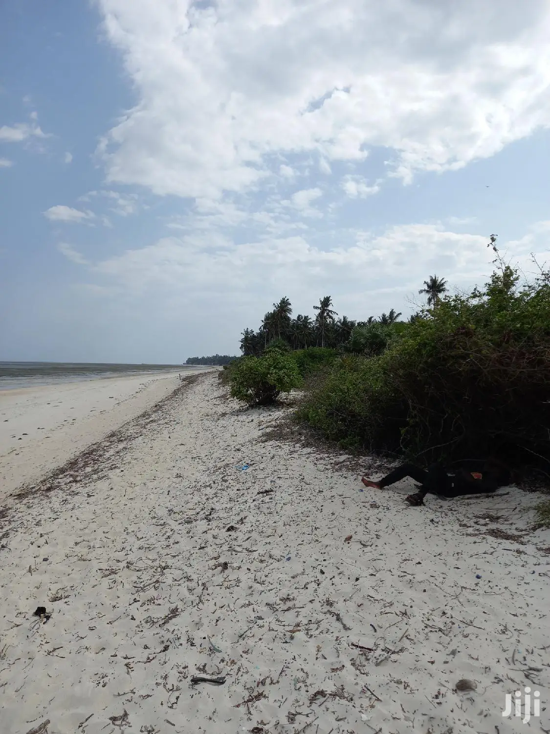 Beachfront 10-Acre Land: Kikambala for Sale in Mtwapa