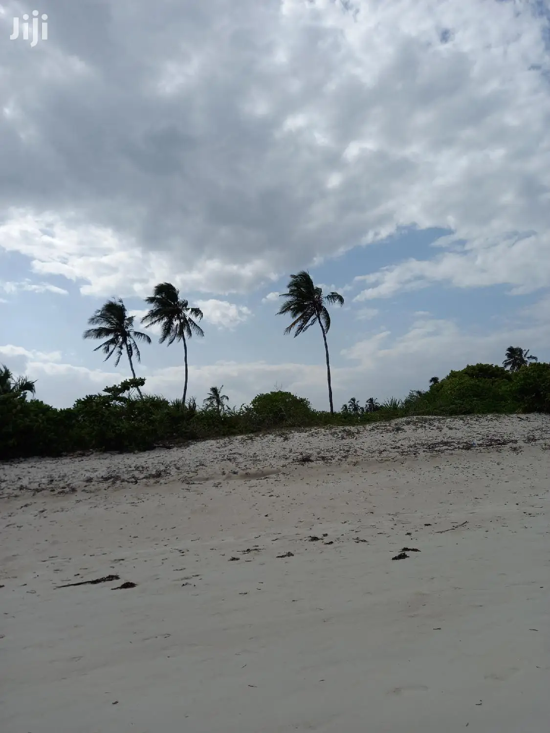 Beachfront 10-Acre Land: Kikambala for Sale in Mtwapa