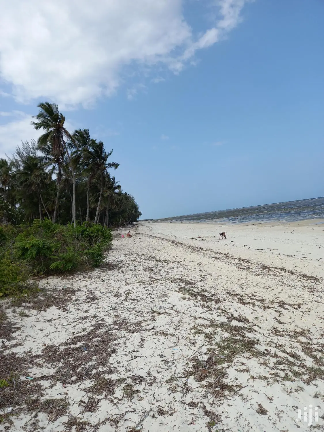 Beachfront 10-Acre Land: Kikambala for Sale in Mtwapa