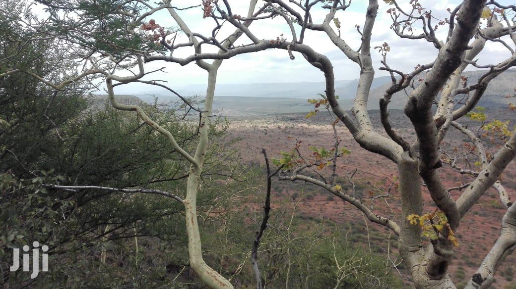 Stunning 31-Acre Lentoko Property for Sale at $450K per Acre in Ngong