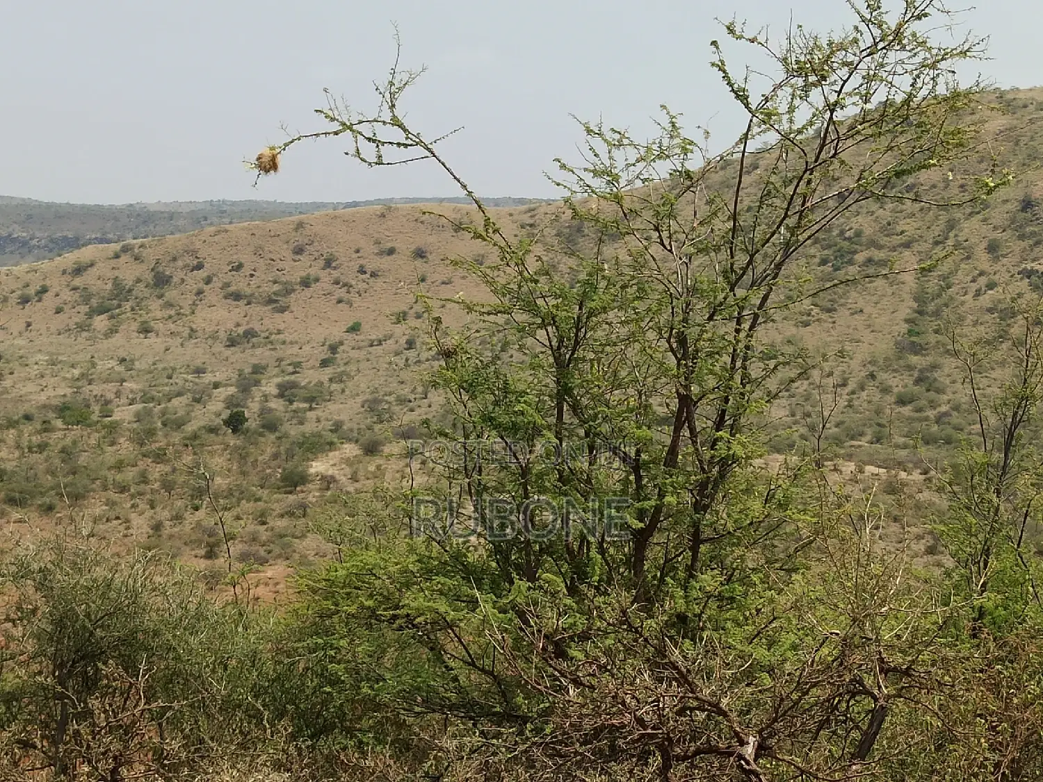 Spacious 105-acre Ngong property in Keekonyokie/Ilkisumet: perfect for development in Olkeri