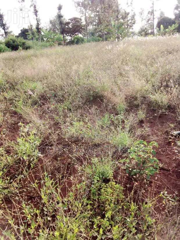 Buy 40x80 Plot in Murang'A: Seize Your Dream Property Today in Mbiri