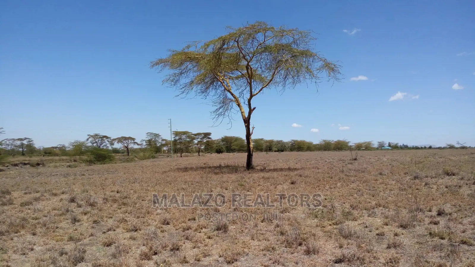 1/8 Acre Plots Available in Kisaju - Secure Your Dream Property Today! in Kajiado CBD