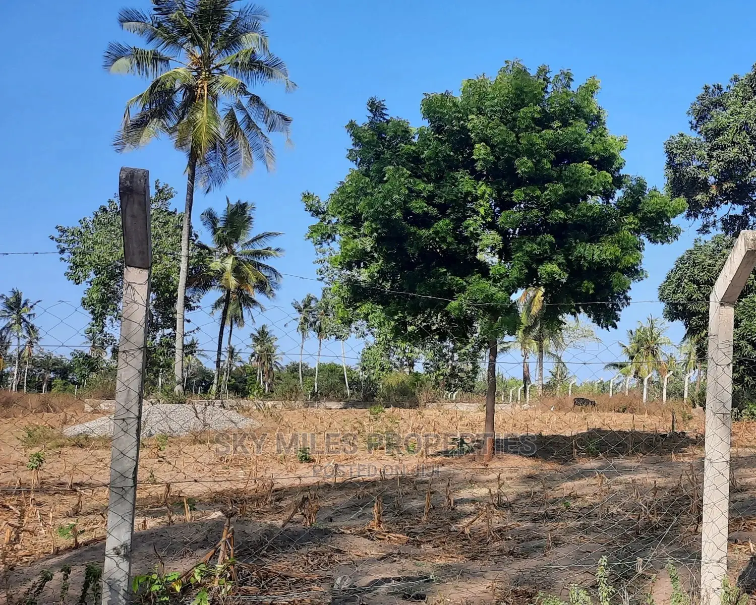 2-Acre Land for Sale Near Pwani Oil, Kikambala - Prime Investment Opportunity in Mtwapa