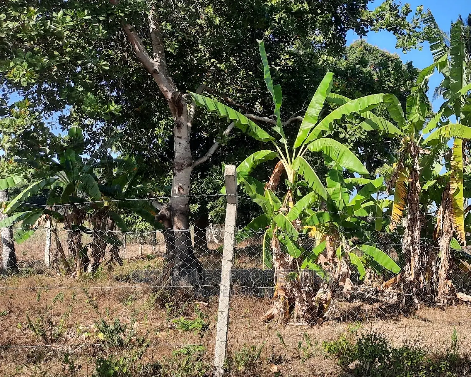 2-Acre Land for Sale Near Pwani Oil, Kikambala - Prime Investment Opportunity in Mtwapa