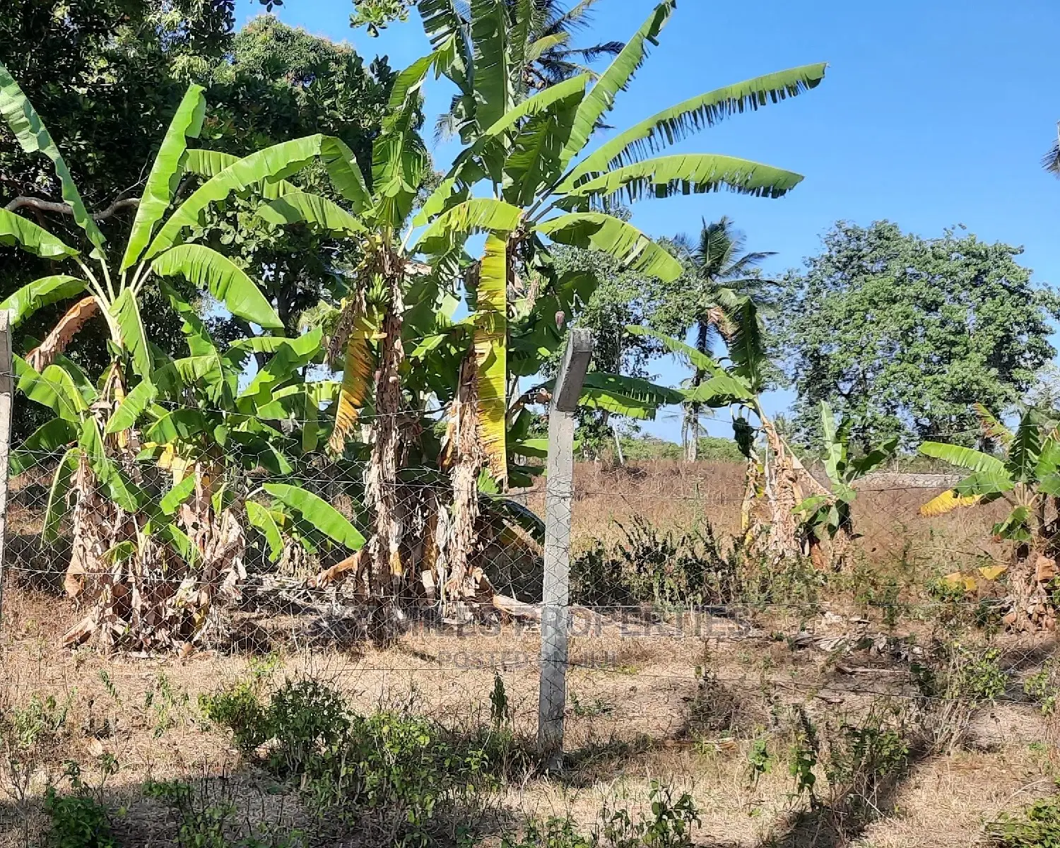 2-Acre Land for Sale Near Pwani Oil, Kikambala - Prime Investment Opportunity in Mtwapa