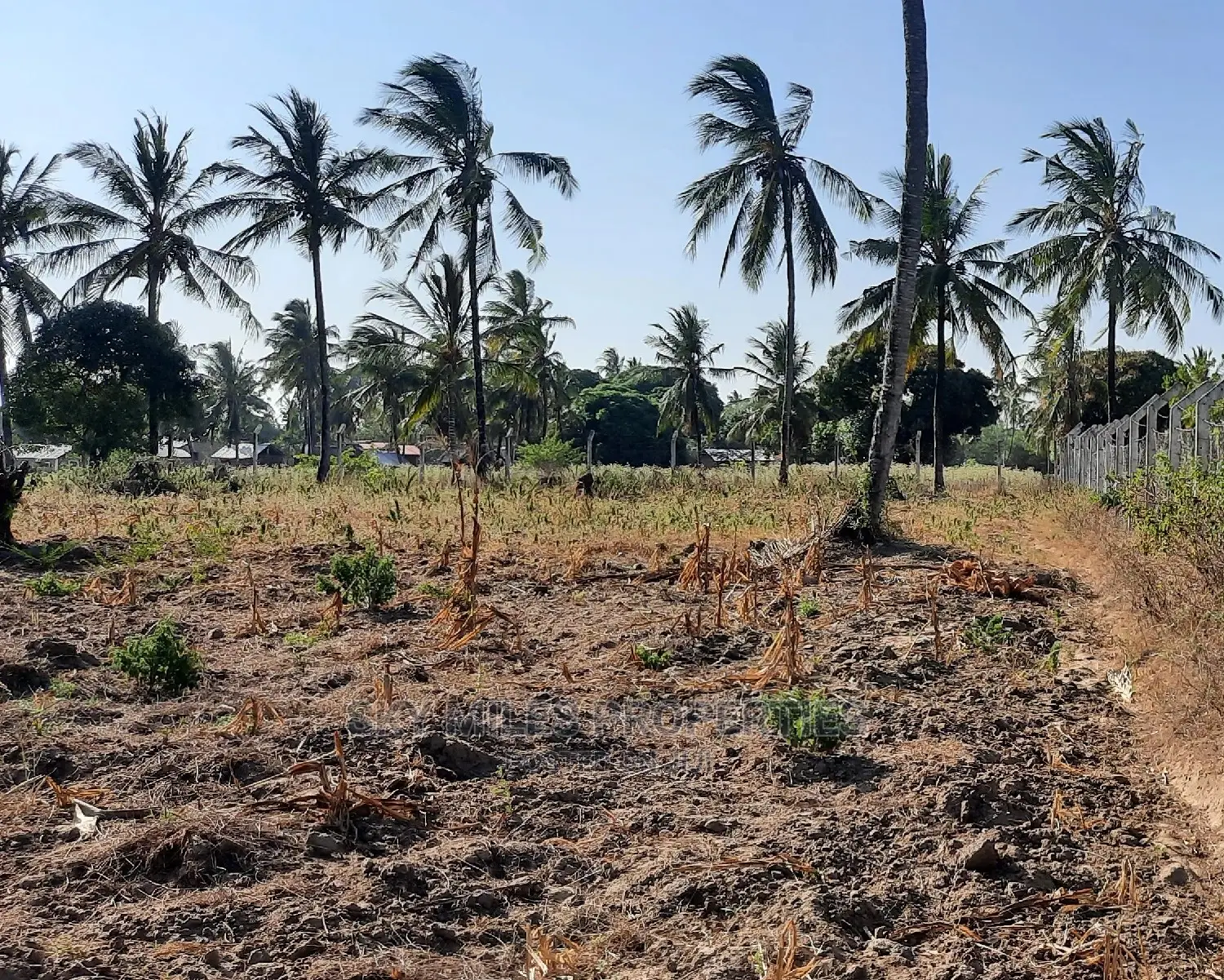2-Acre Land for Sale Near Pwani Oil, Kikambala - Prime Investment Opportunity in Mtwapa