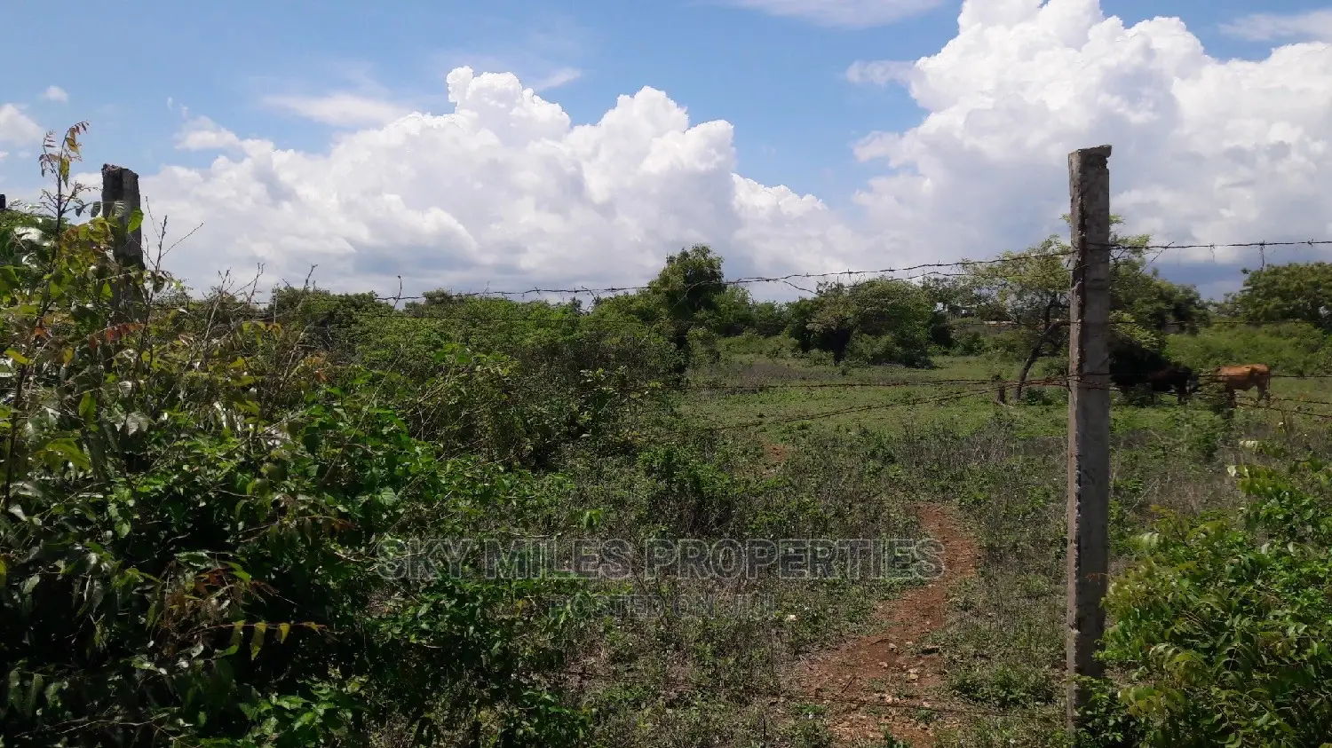 Beachfront Investment Opportunity - 5 Acres on Sale in Kikambala in Mtwapa