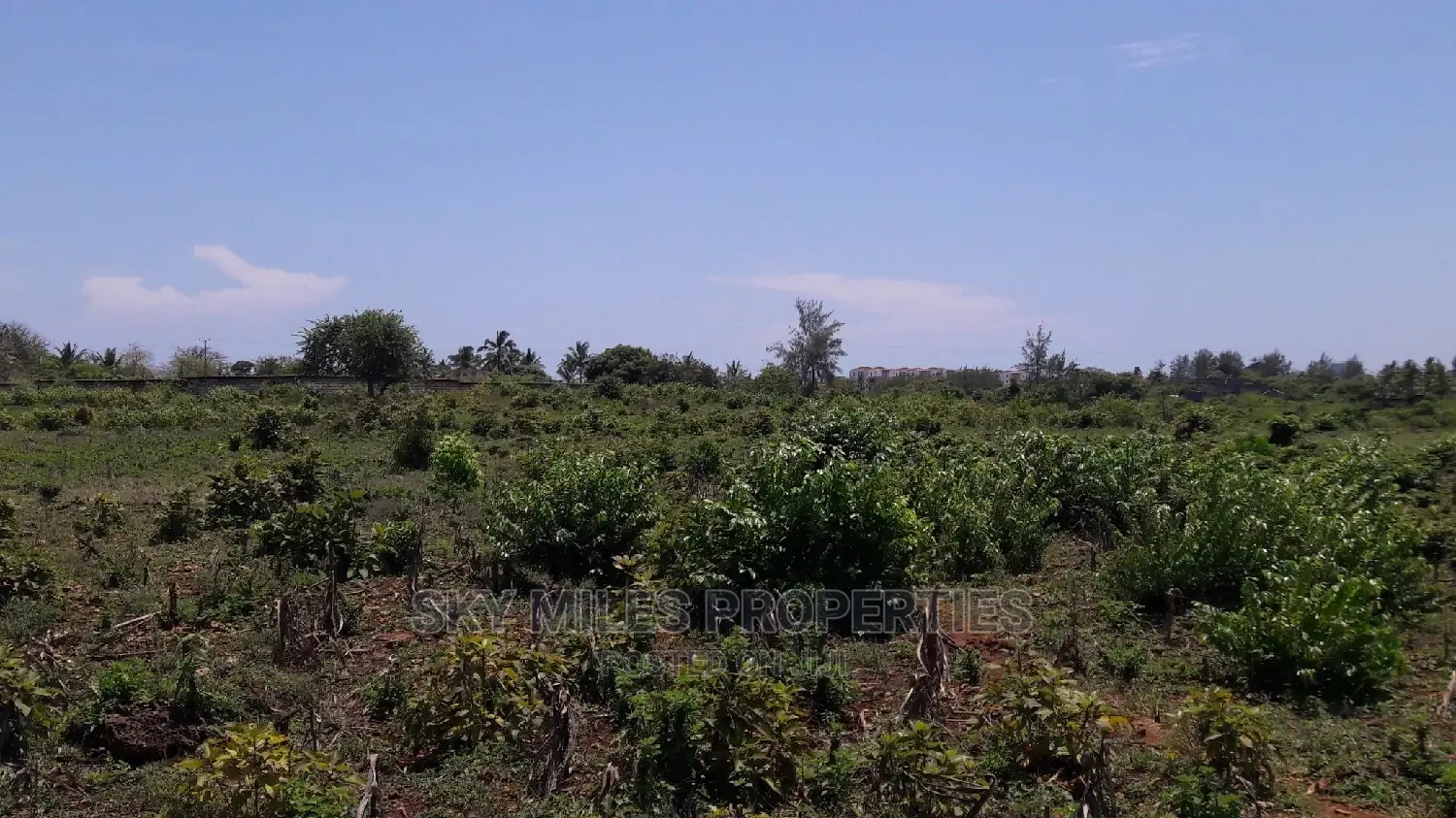 Beachfront Investment Opportunity - 5 Acres on Sale in Kikambala in Mtwapa