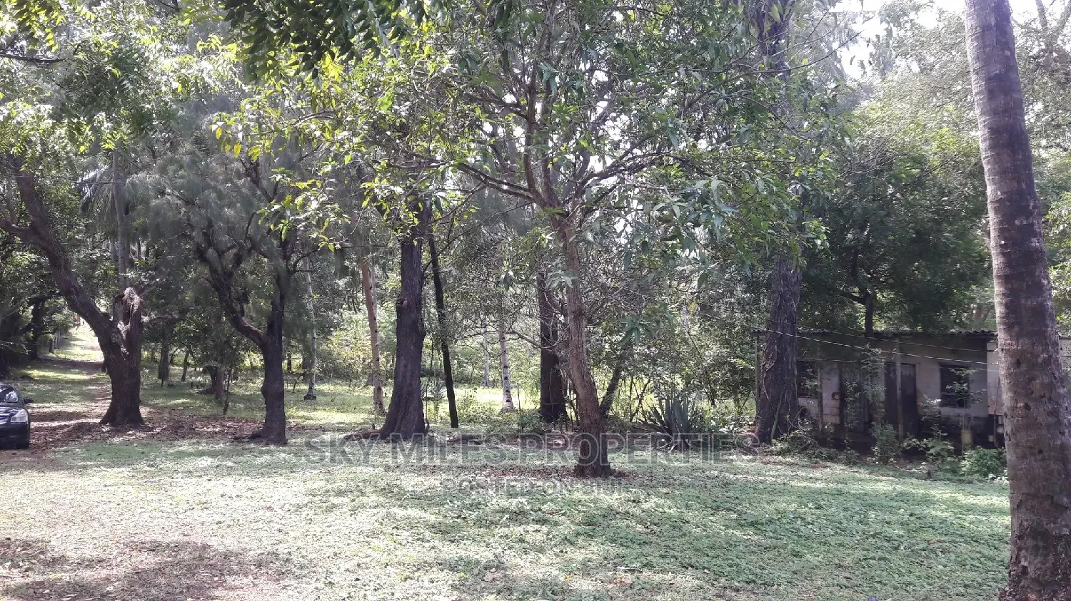 Breathtaking Beach Plot: 4.5 Acres On Sale in Mtwapa