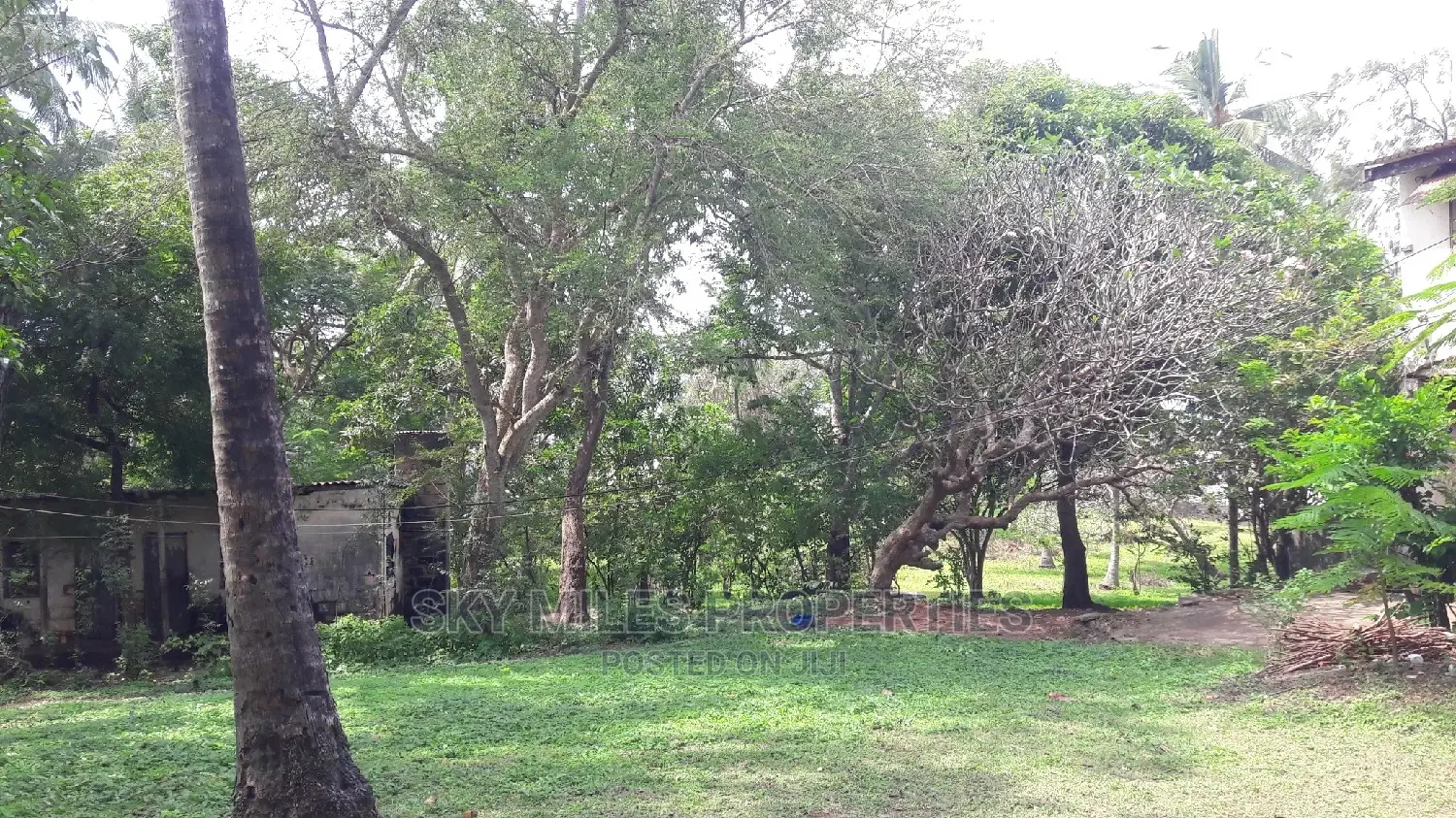 Breathtaking Beach Plot: 4.5 Acres On Sale in Mtwapa