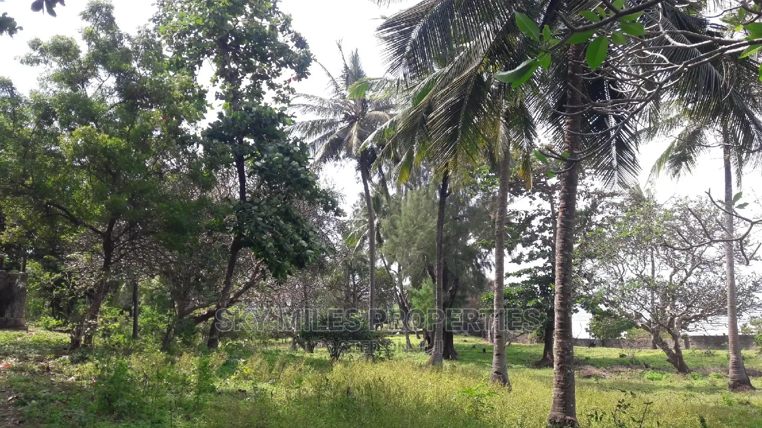 Breathtaking Beach Plot: 4.5 Acres On Sale in Mtwapa