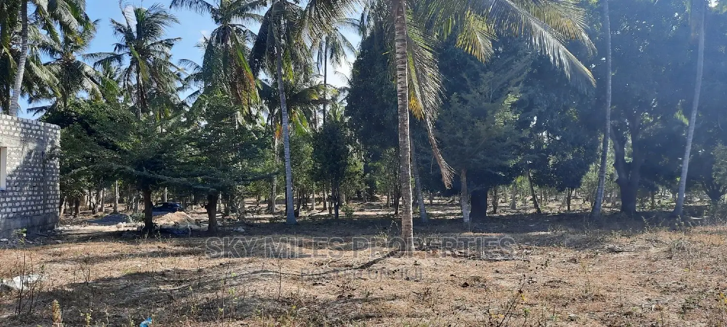 Spacious Mtwapa Creek Plots for Sale - Affordable Investment Opportunity in Mtwapa
