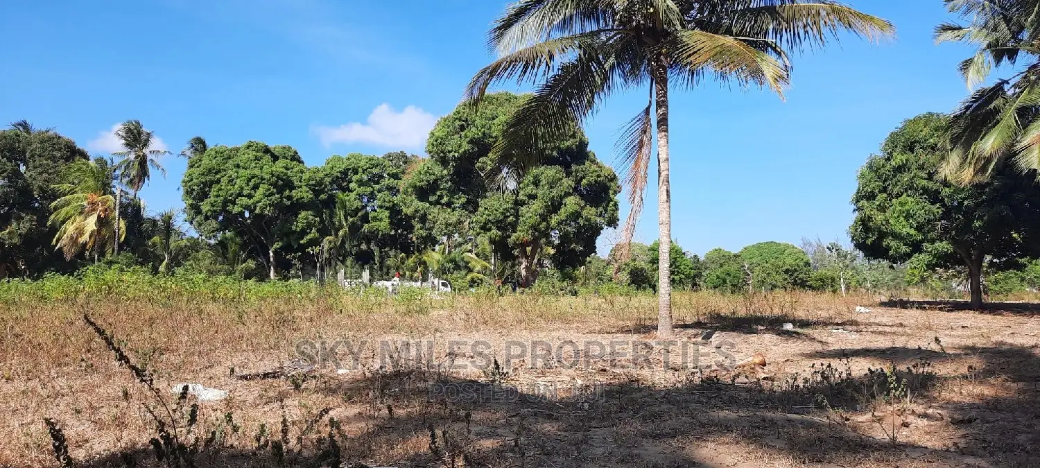 Spacious Mtwapa Creek Plots for Sale - Affordable Investment Opportunity in Mtwapa