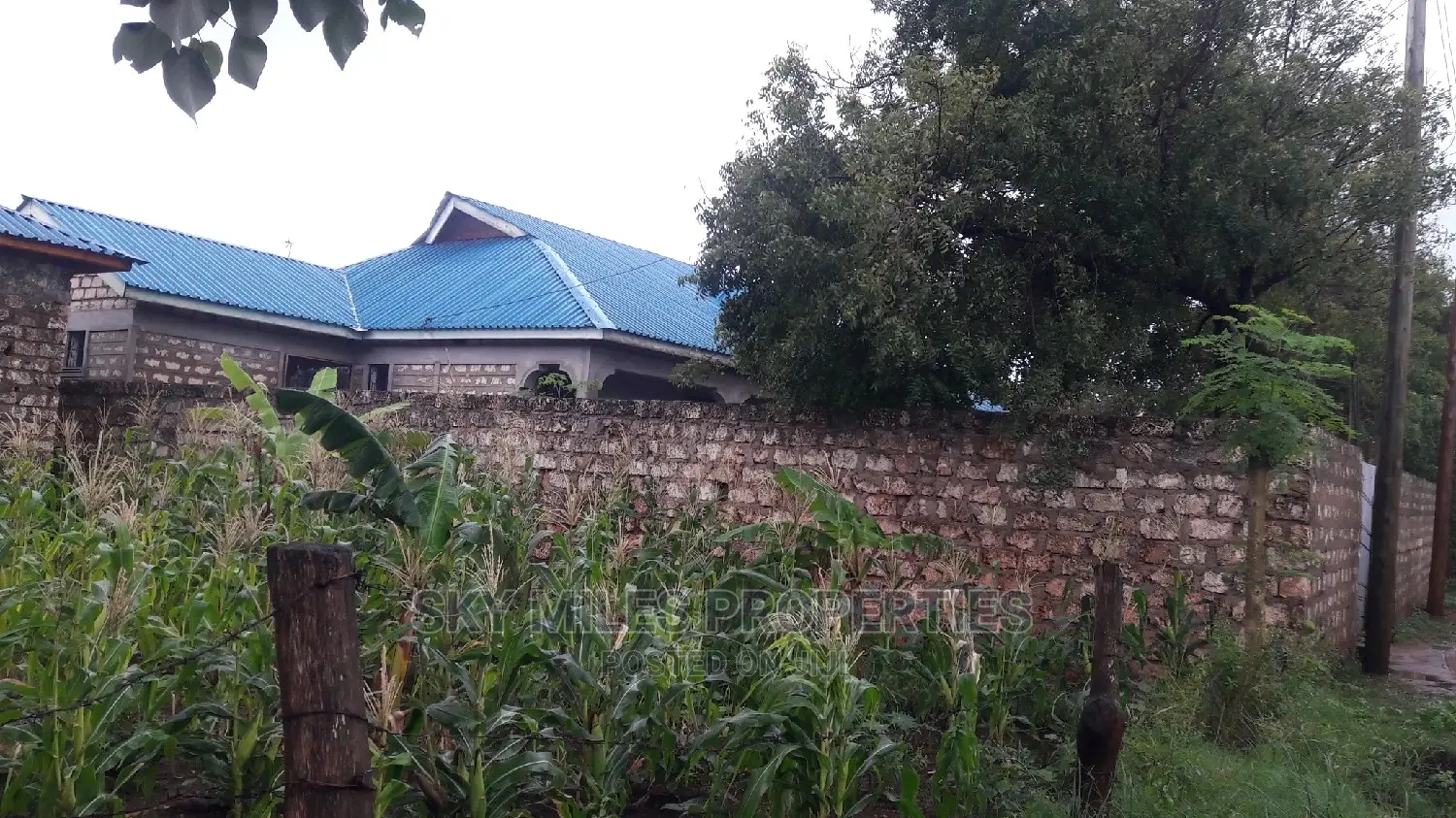 Spacious Bungalow Available - Discover Your Perfect Home Today! in Mtwapa
