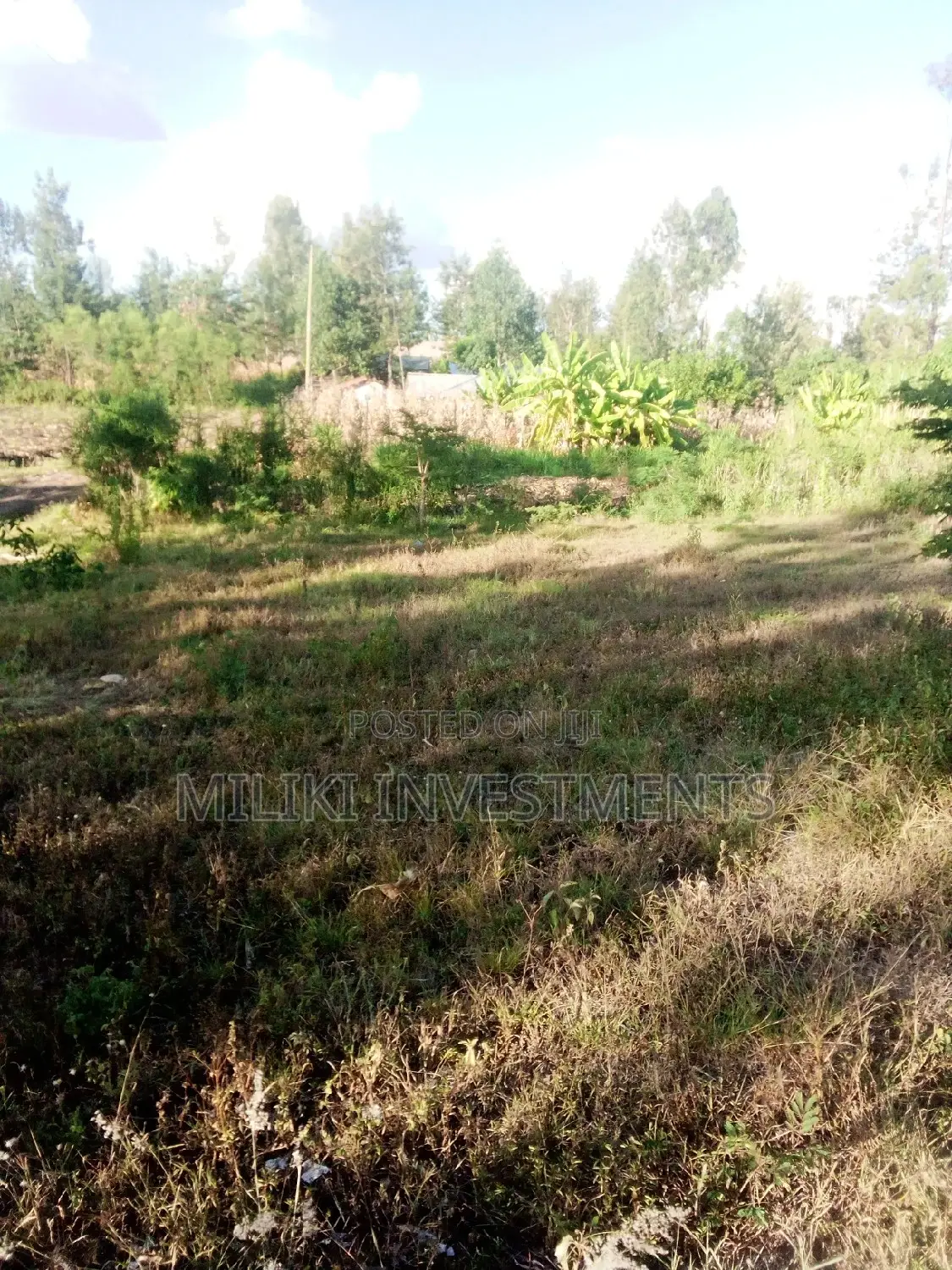 40 by 80 Plot for Sale - Kabati - Perfect for Home or Business in Kimorori/Wempa
