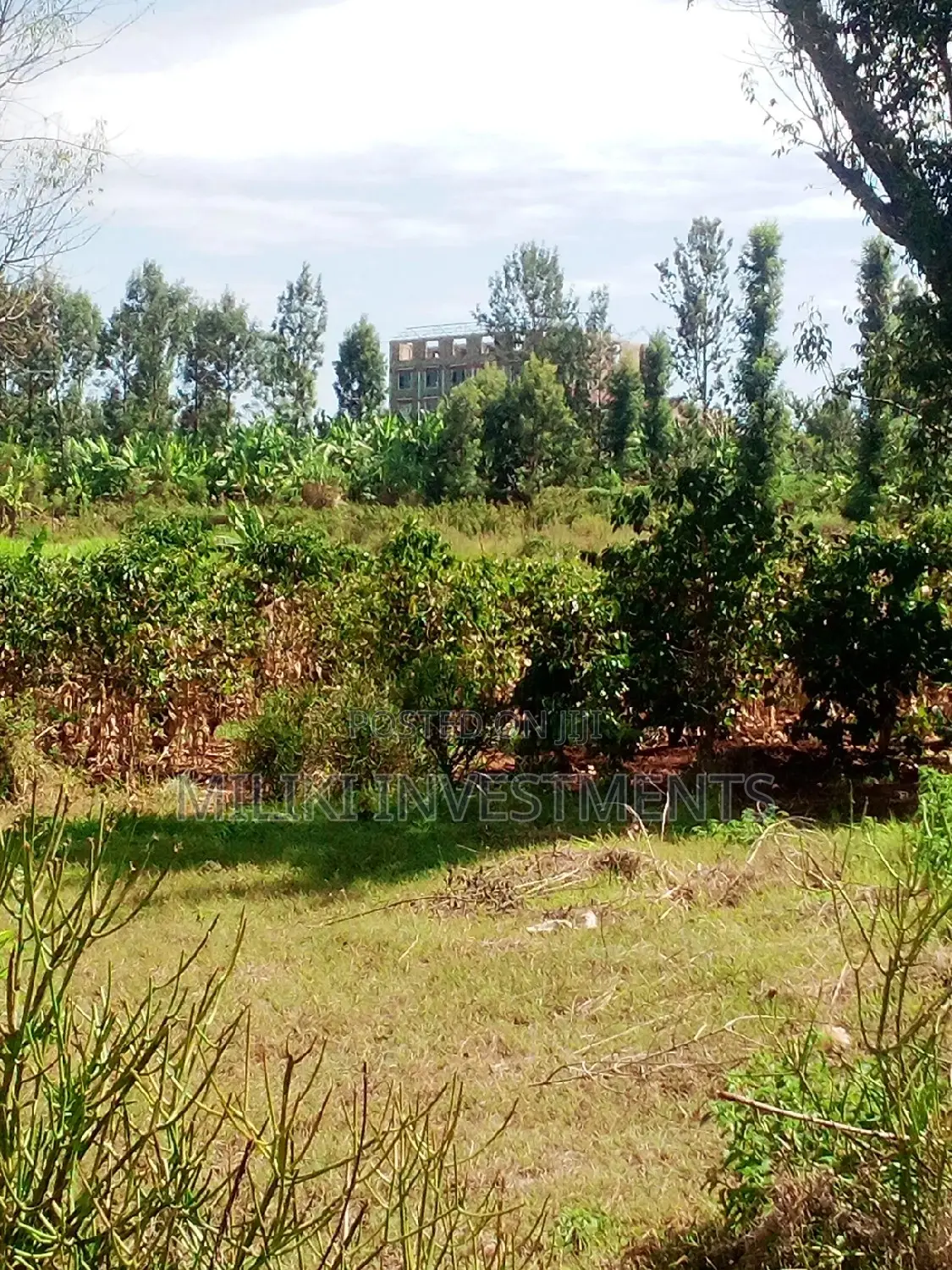 50 by 80 Plot in Kenol - A Perfect Opportunity for Property Investment in Kimorori/Wempa