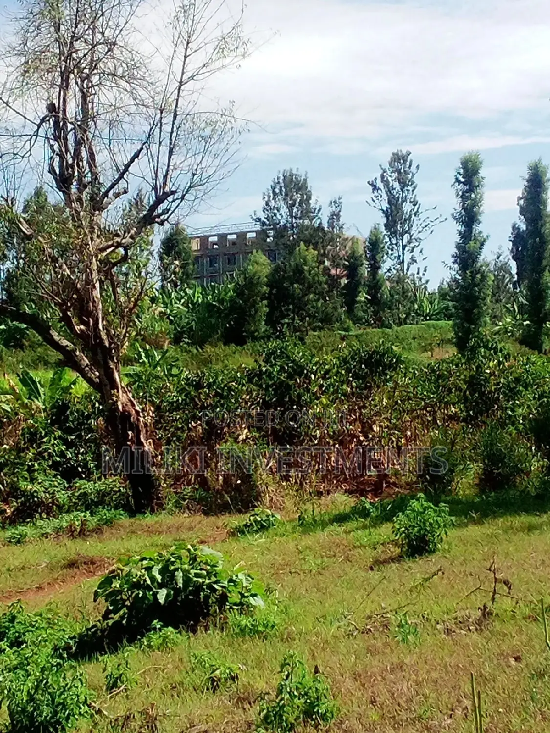 50 by 80 Plot in Kenol - A Perfect Opportunity for Property Investment in Kimorori/Wempa
