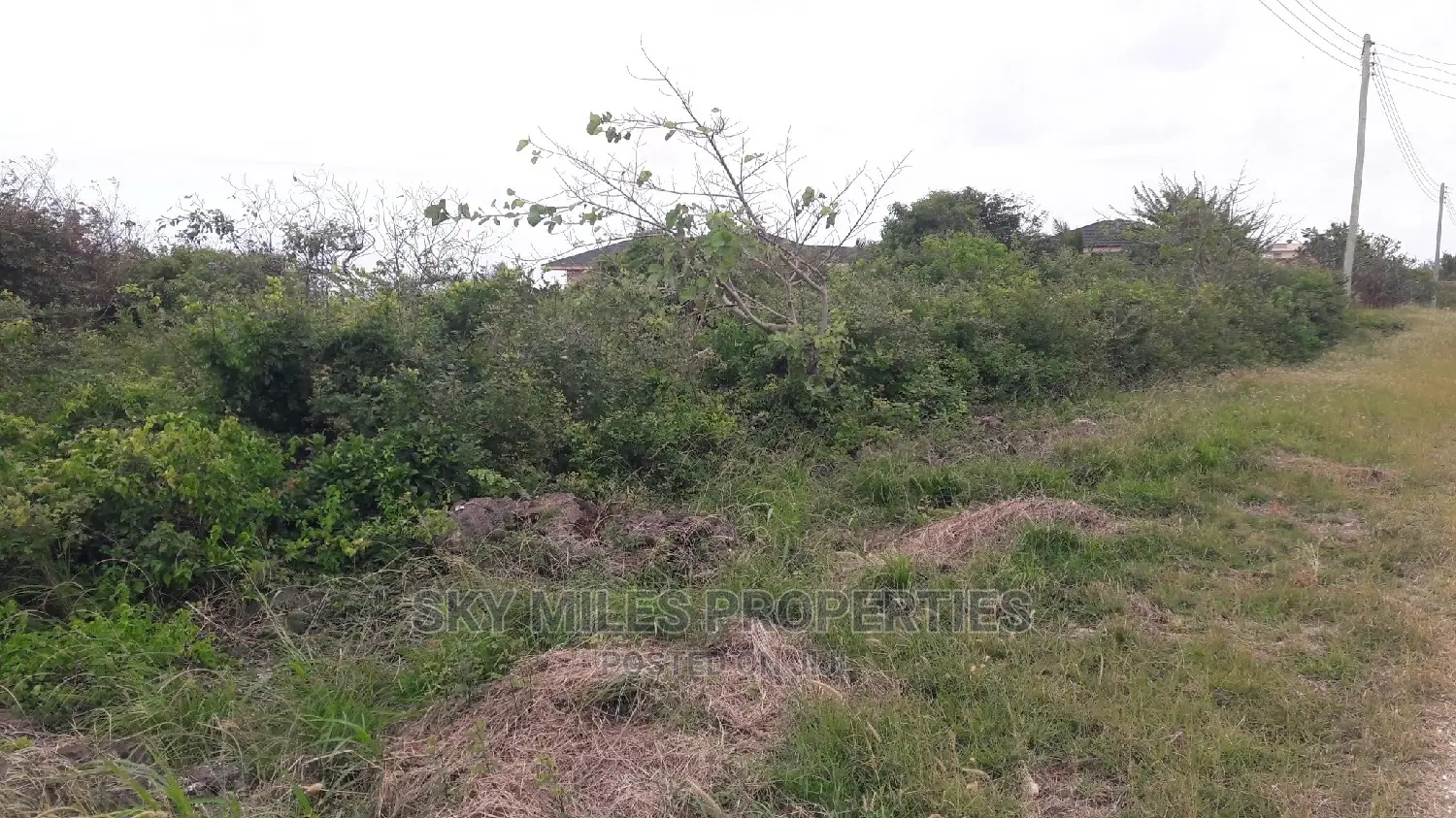 Beach Plot in Vipingo: Seize the Opportunity for a Coastal Retreat in Mtwapa