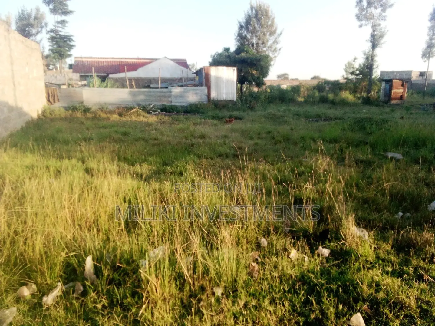 Large 40x80 plots for sale - find your dream development site here! in Witeithie