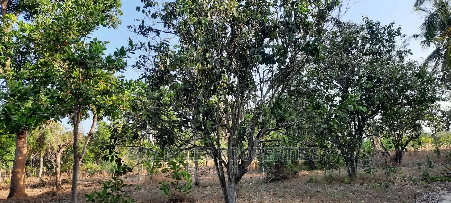 Half Acre Property for Sale in Mtwapa - Seize the Opportunity Today! in Mtwapa