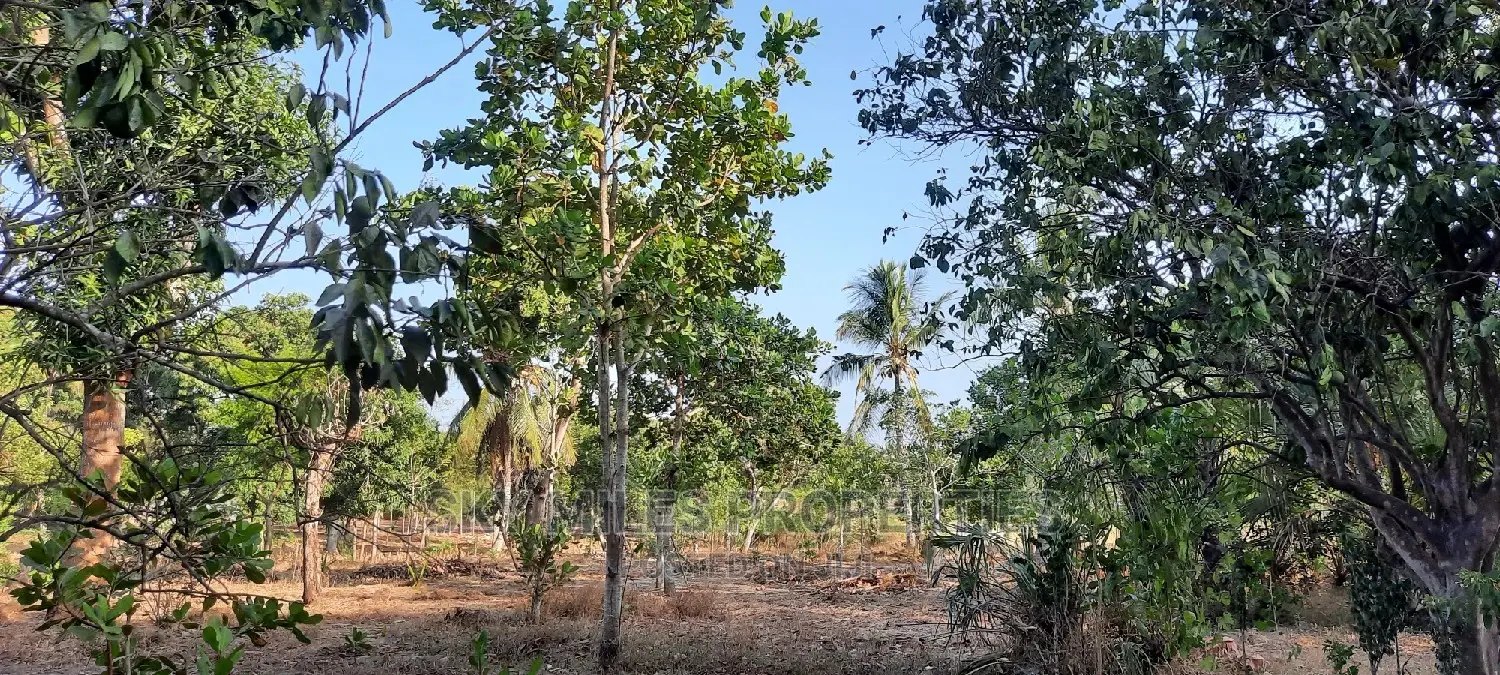 Half Acre Property for Sale in Mtwapa - Seize the Opportunity Today! in Mtwapa