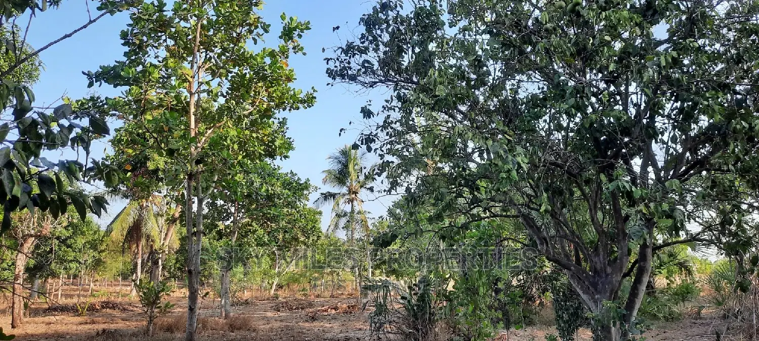 Half Acre Property for Sale in Mtwapa - Seize the Opportunity Today! in Mtwapa