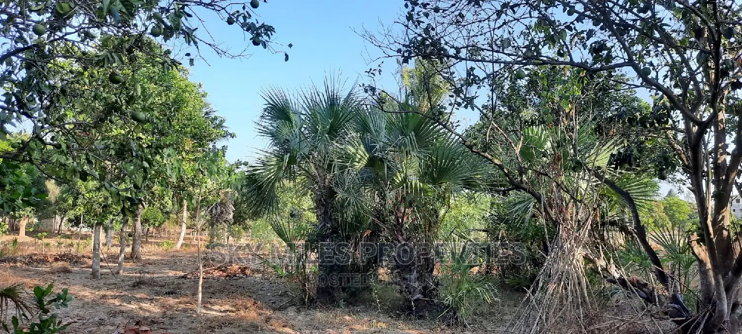 Half Acre Property for Sale in Mtwapa - Seize the Opportunity Today! in Mtwapa