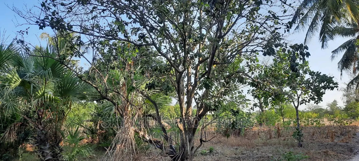 Half Acre Property for Sale in Mtwapa - Seize the Opportunity Today! in Mtwapa