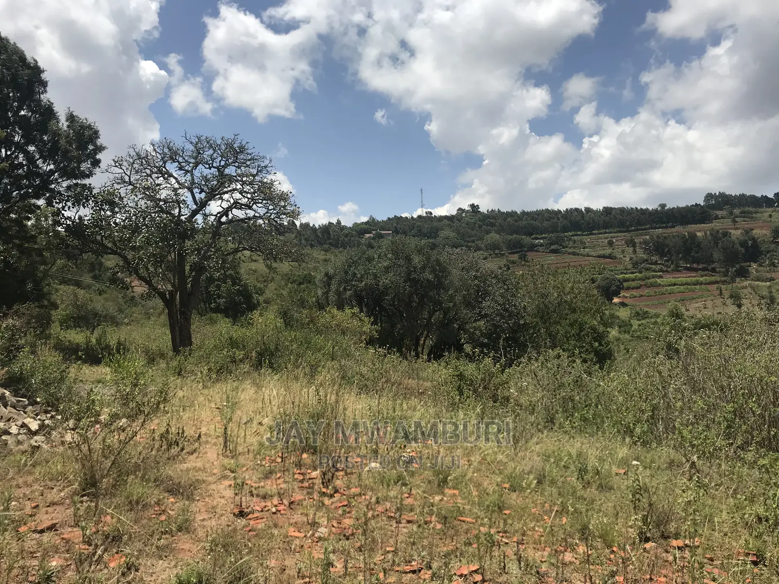 10 Acre Virgin Land Mua Hills in Mua Hills