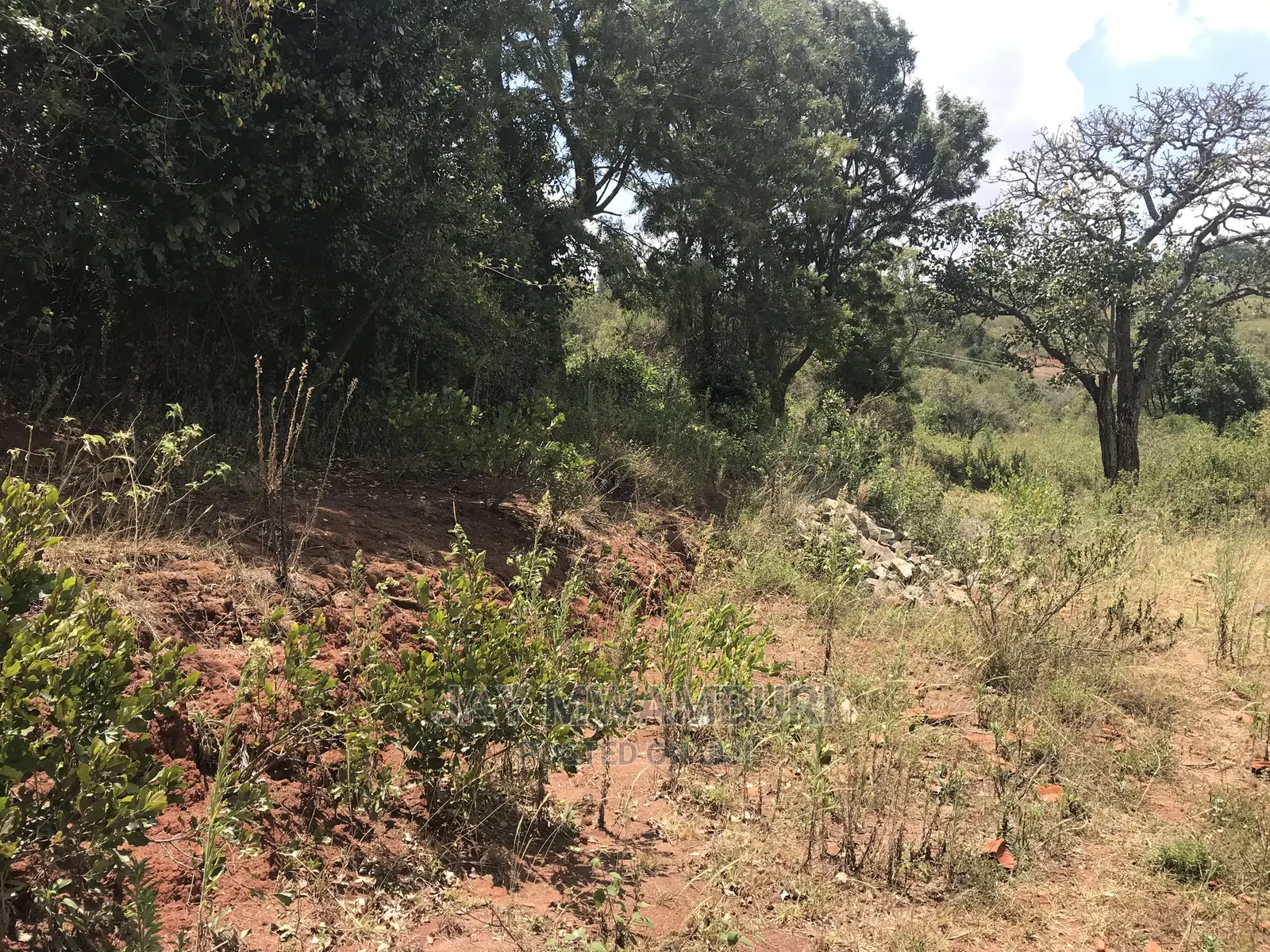 10 Acre Virgin Land Mua Hills in Mua Hills