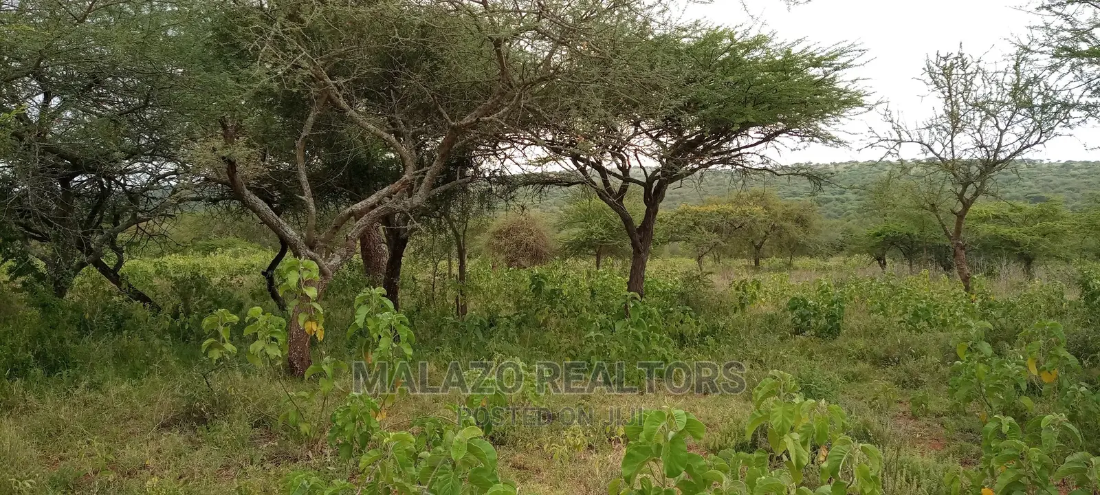 10-Acre Oasis in Kajiado: A Perfect Investment Opportunity in Kumpa