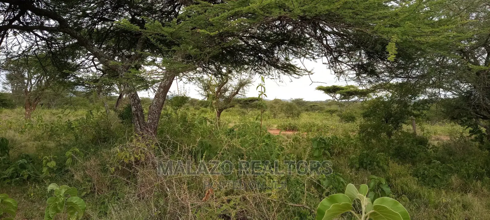 10-Acre Oasis in Kajiado: A Perfect Investment Opportunity in Kumpa