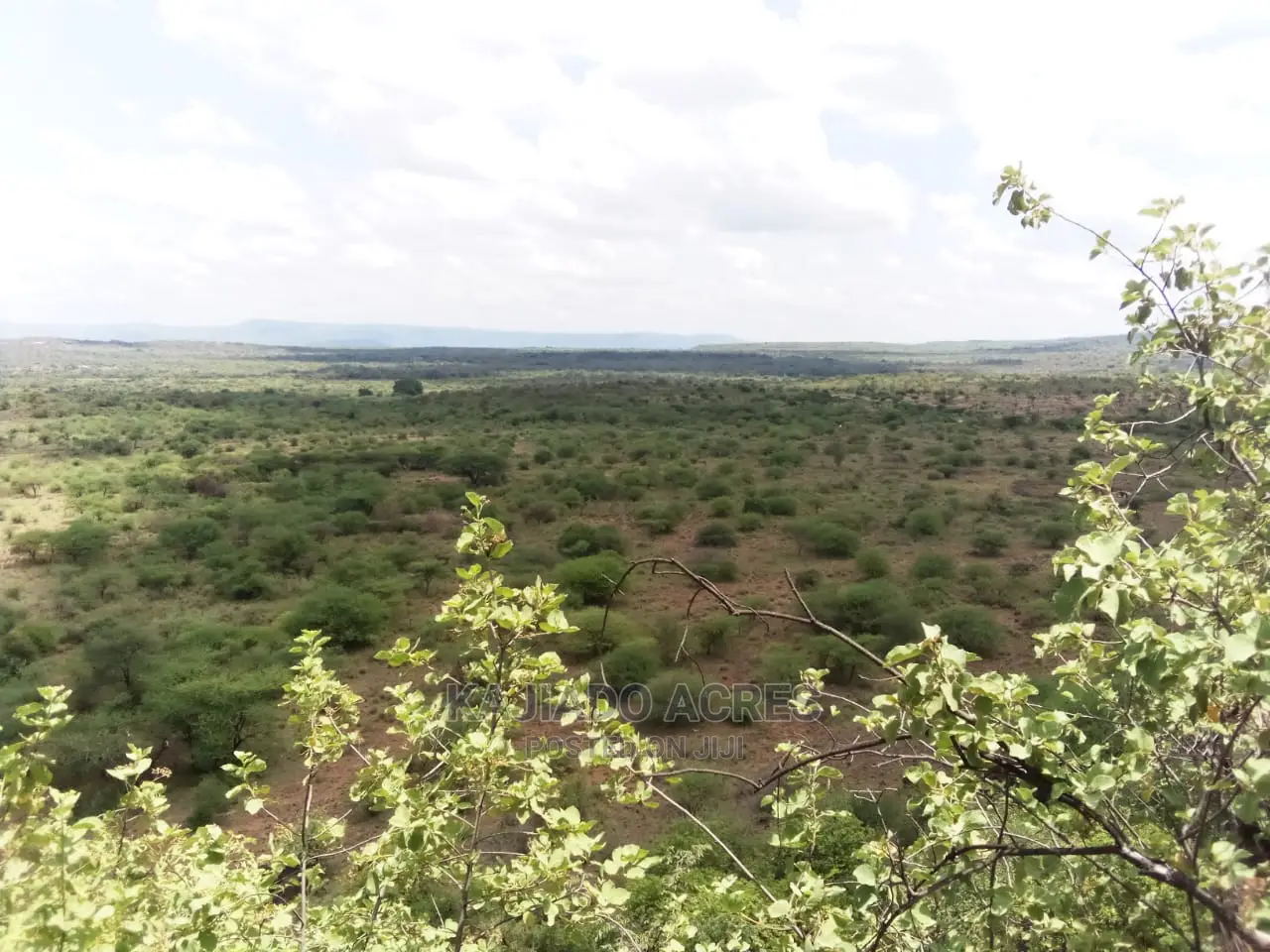 Nkorika's Premier 15-Acre Scenic Land for Sale in Ewaso Kendong