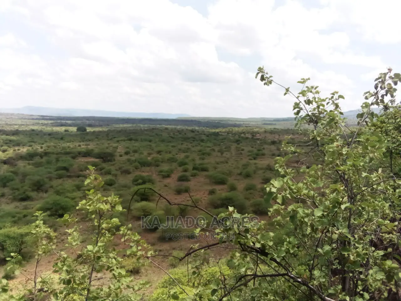 Nkorika's Premier 15-Acre Scenic Land for Sale in Ewaso Kendong