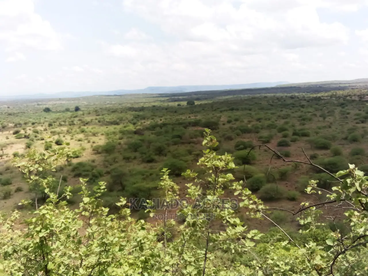 Nkorika's Premier 15-Acre Scenic Land for Sale in Ewaso Kendong