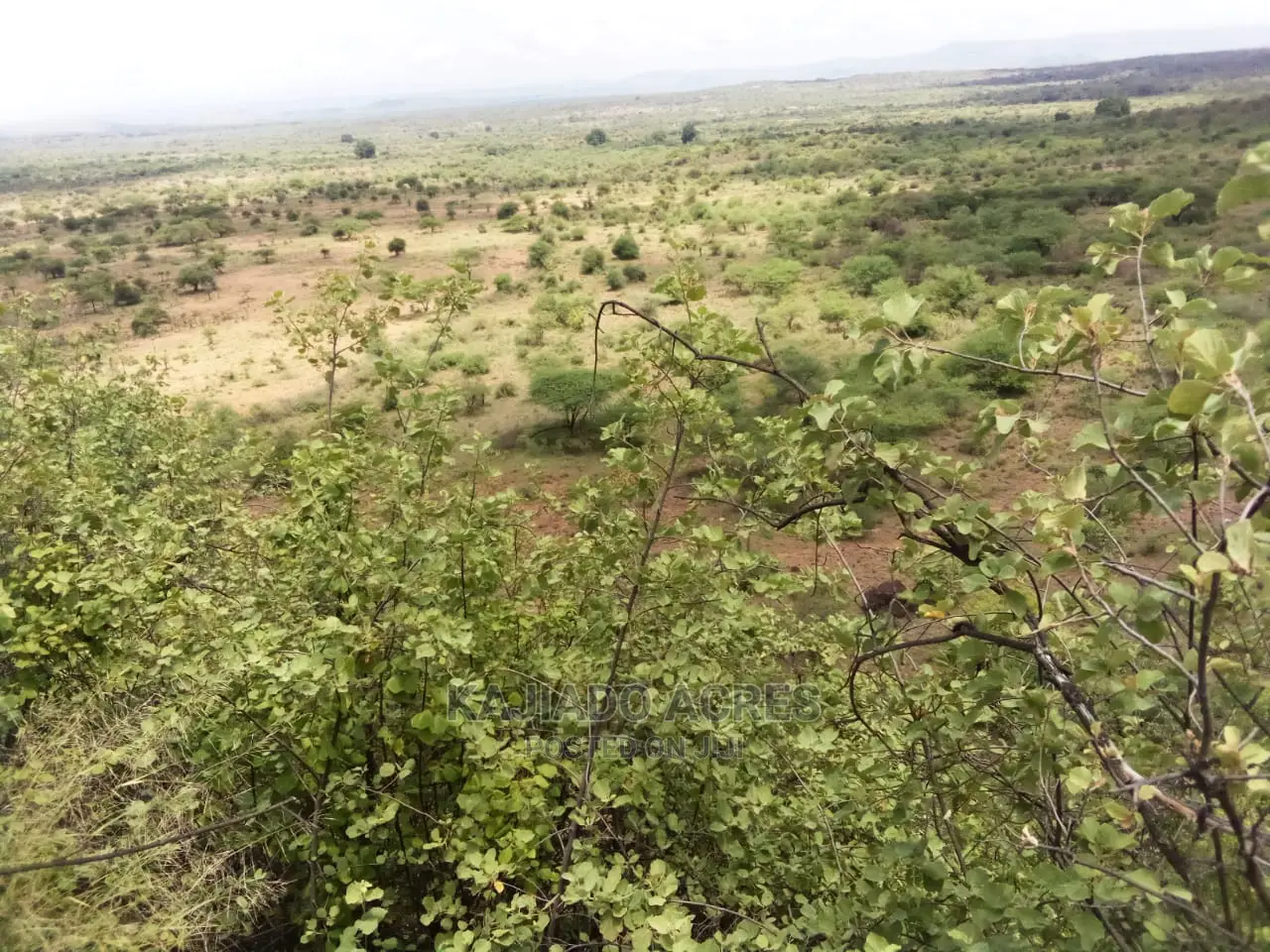 Nkorika's Premier 15-Acre Scenic Land for Sale in Ewaso Kendong