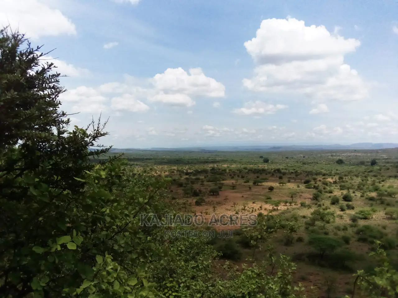 Nkorika's Premier 15-Acre Scenic Land for Sale in Ewaso Kendong