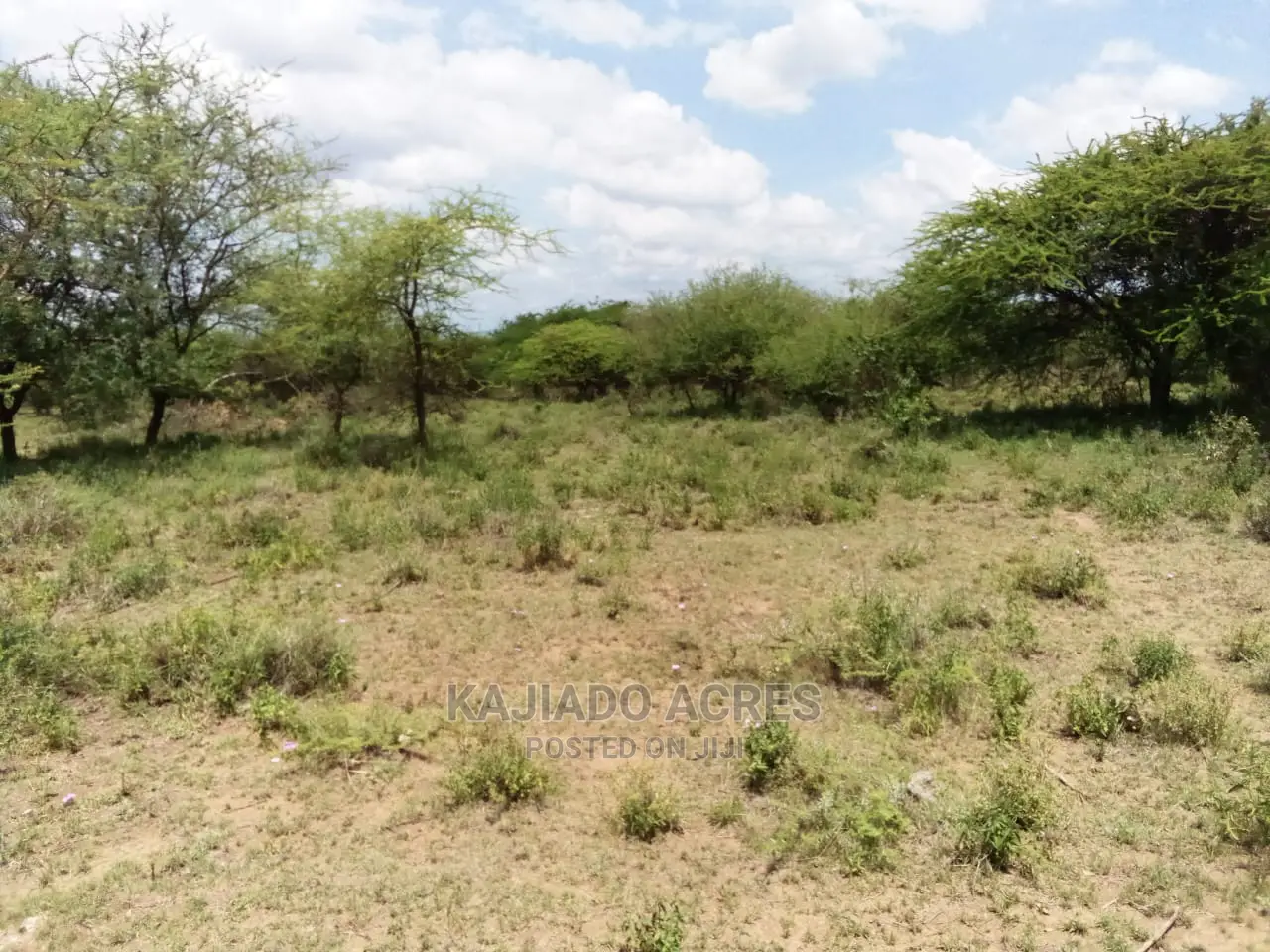 20 Acre Nguyan in Ewaso Kendong