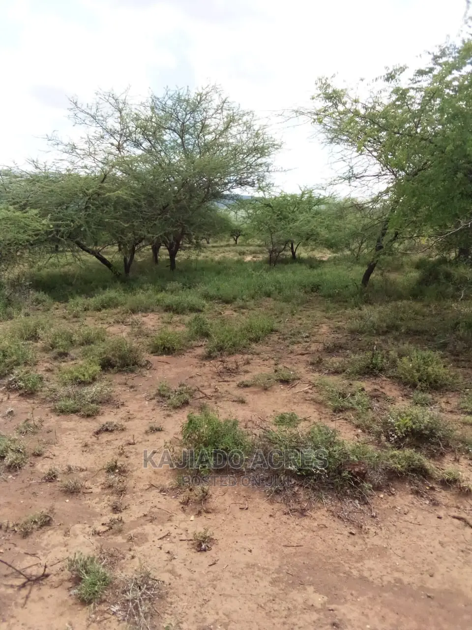 20 Acre Nguyan in Ewaso Kendong