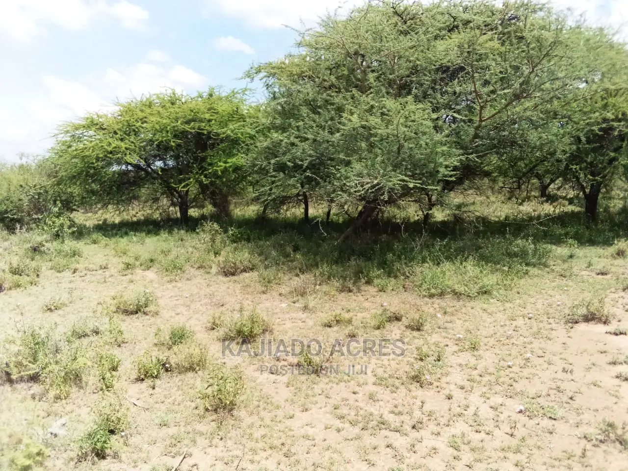 20 Acre Nguyan in Ewaso Kendong