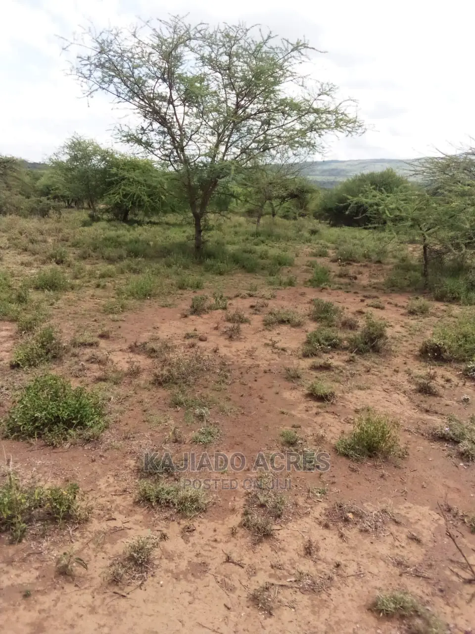20 Acre Nguyan in Ewaso Kendong