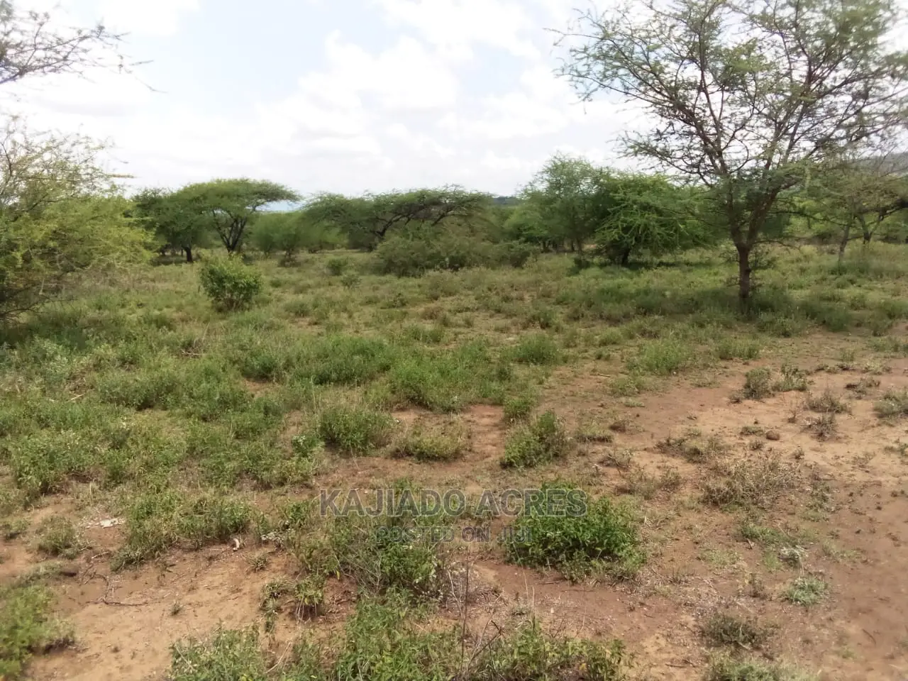 20 Acre Nguyan in Ewaso Kendong