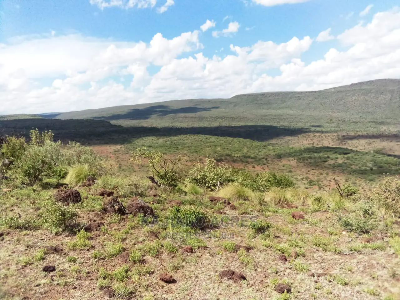 Scenic 113 Acres Olmeroi(Saikeri) in Ngong