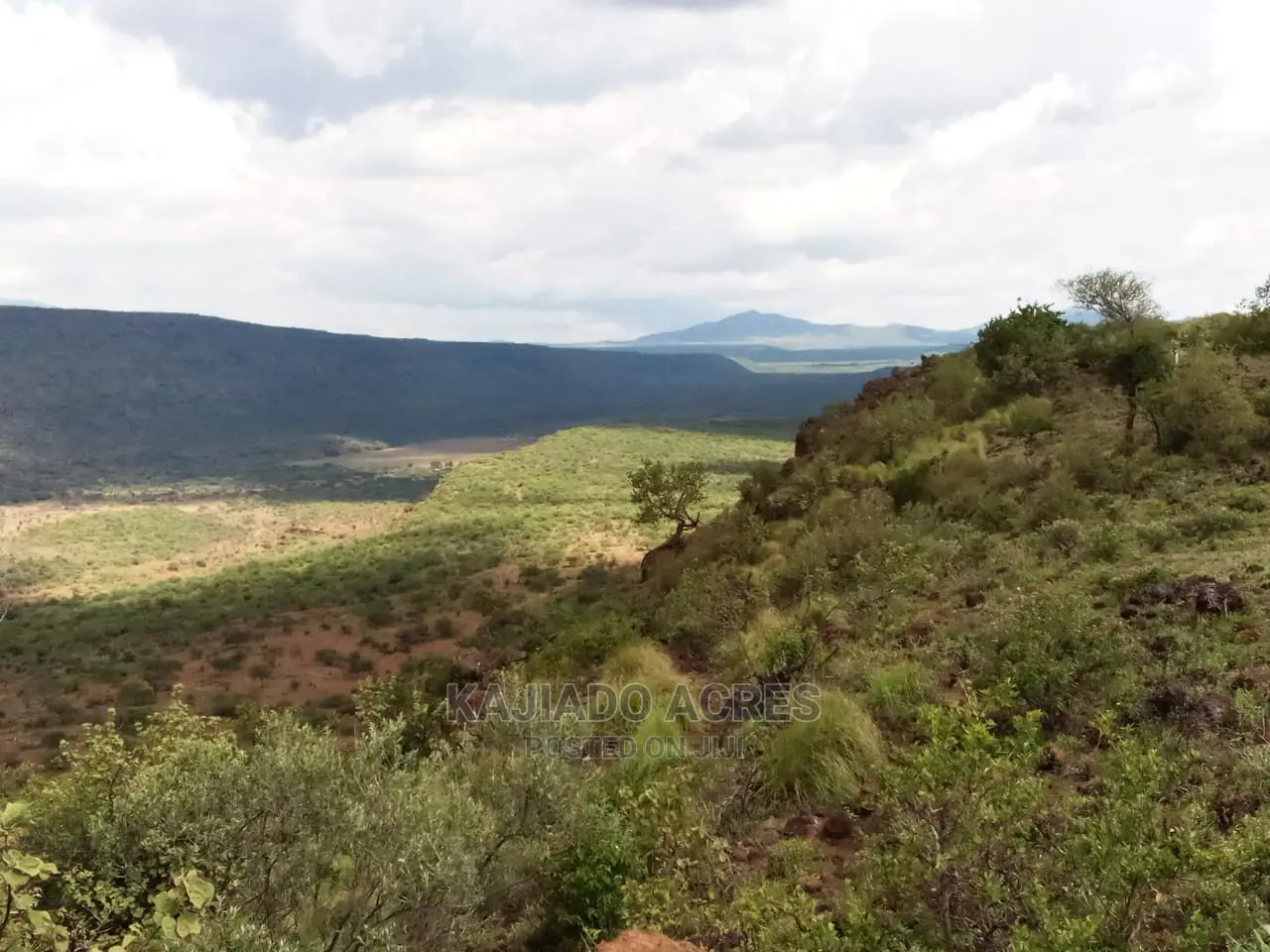 Scenic 113 Acres Olmeroi(Saikeri) in Ngong