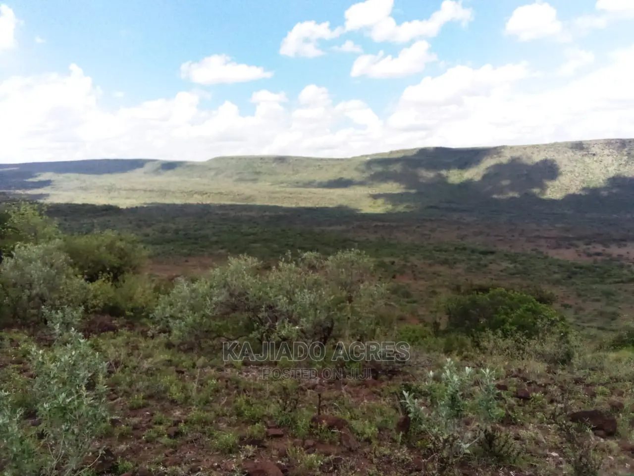Scenic 113 Acres Olmeroi(Saikeri) in Ngong