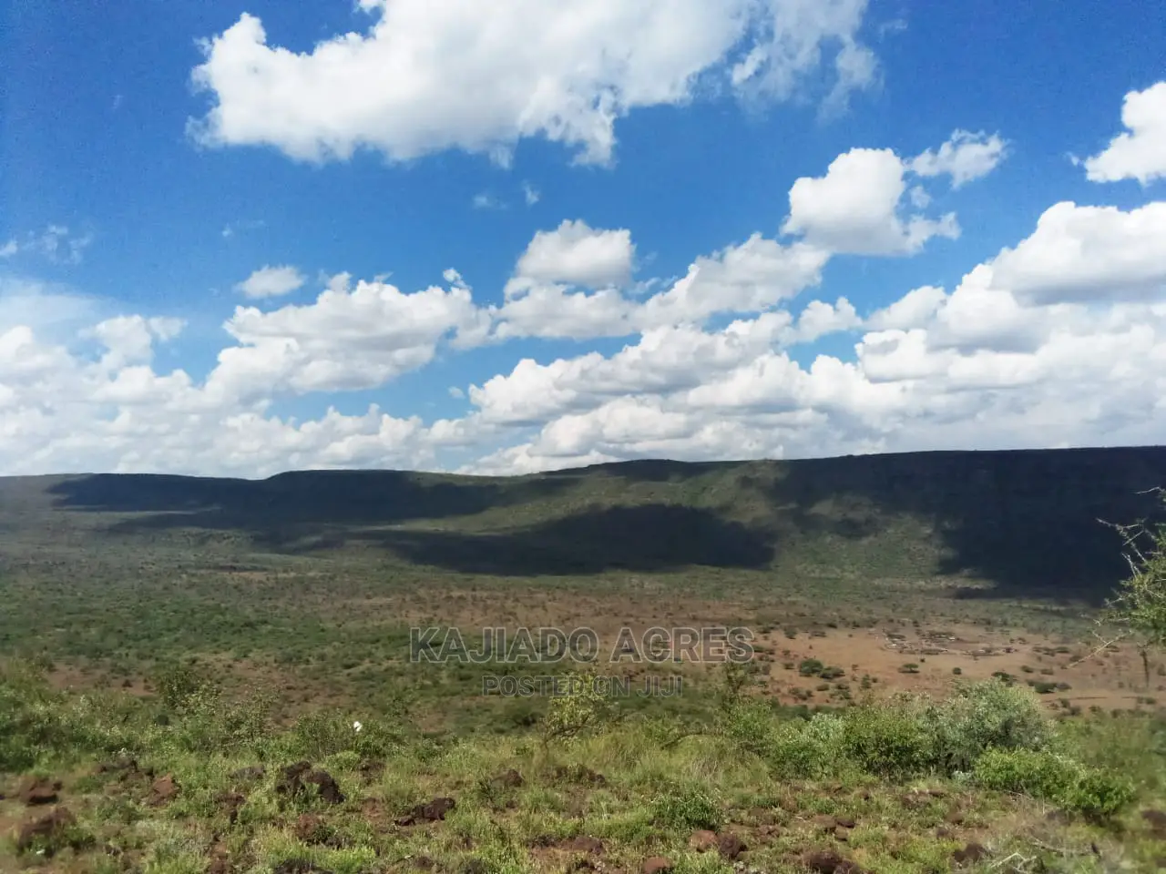 Scenic 113 Acres Olmeroi(Saikeri) in Ngong