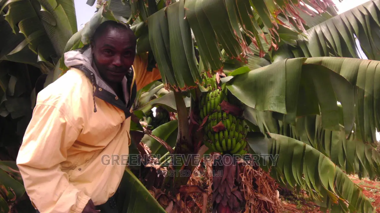17 Acres of Land for Sale in Machakos Town