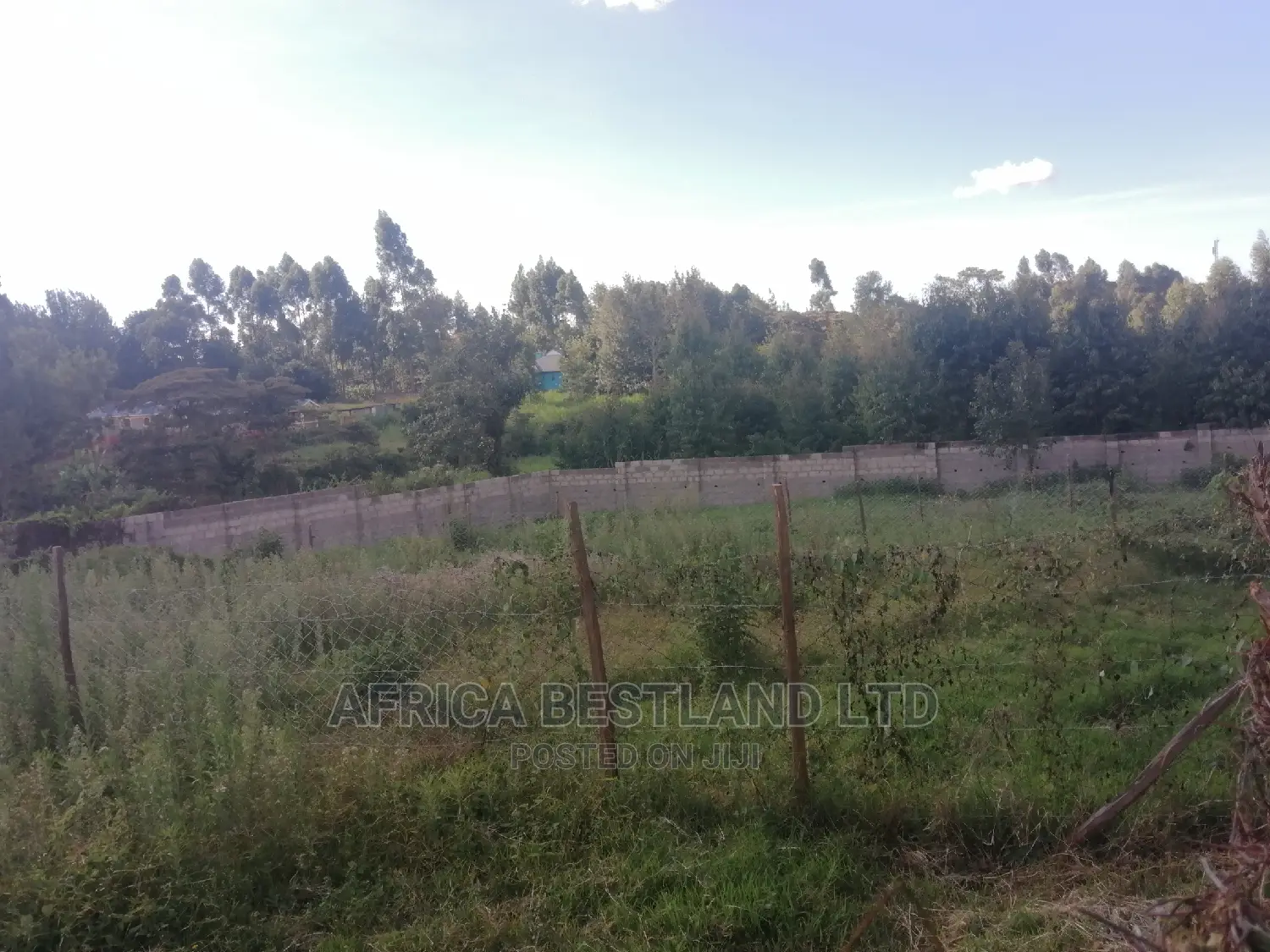 50x100 Ft Plot for Sale in Kabete Kiambu County in Kabete